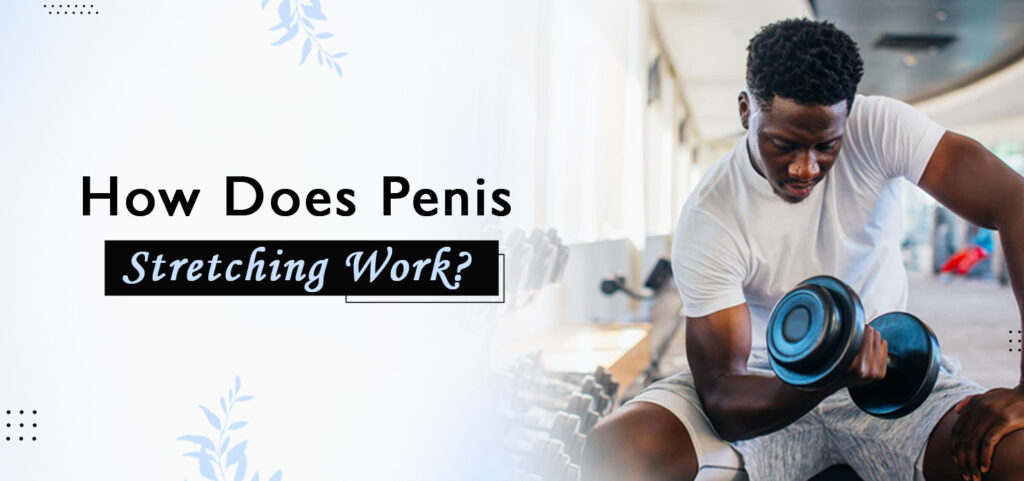 Penis