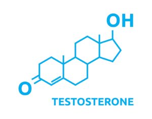 Testosterone Booster