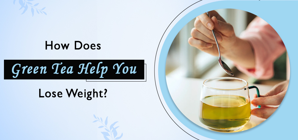 How Does Green Tea Help You Lose Weight?